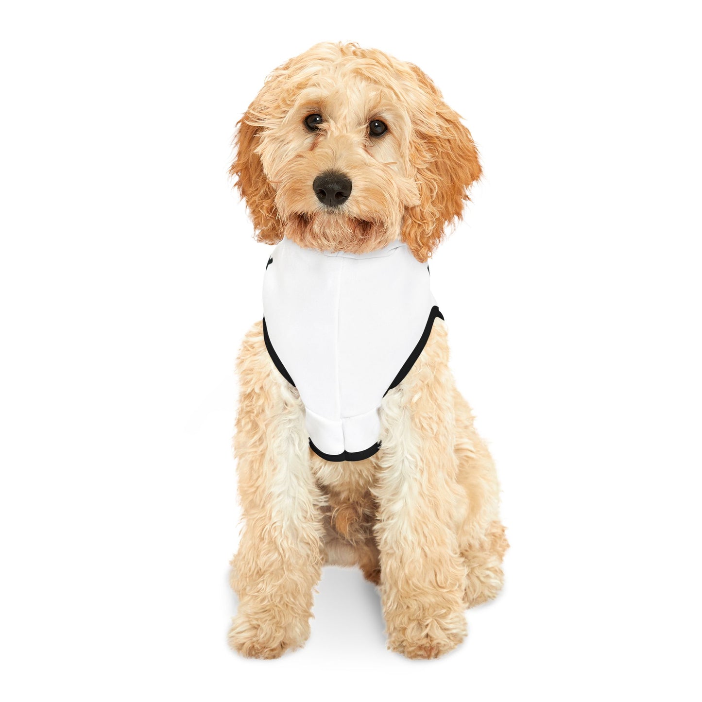 PNP Dog Hoodie