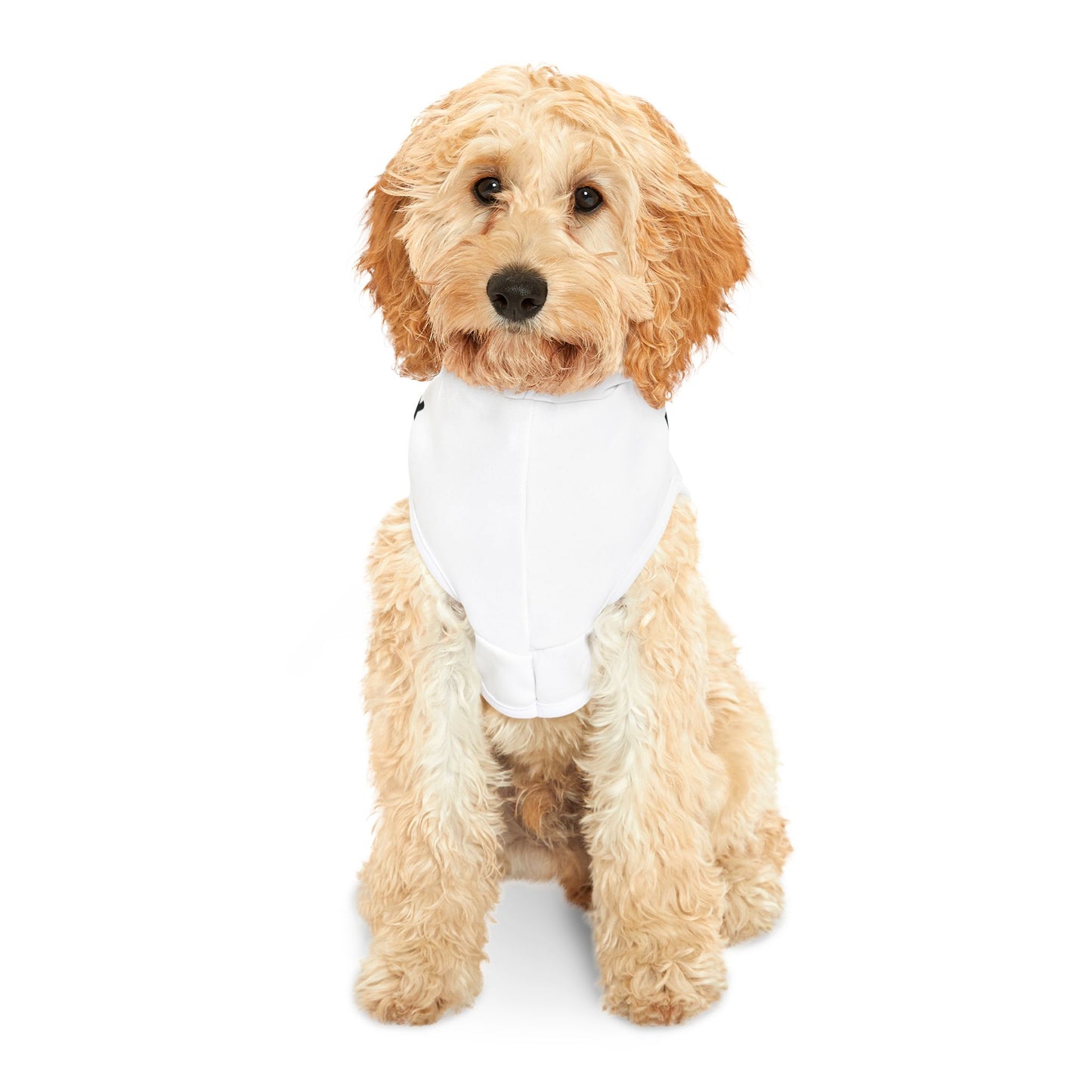PNP Dog Hoodie